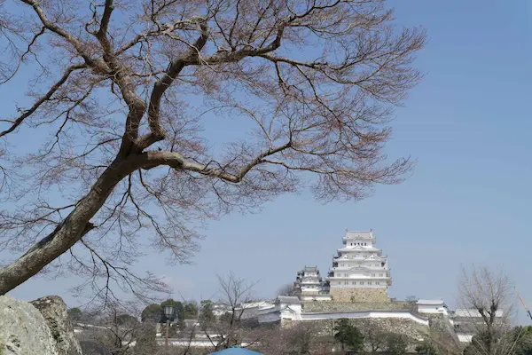 View from San no maru hiroba square (1)